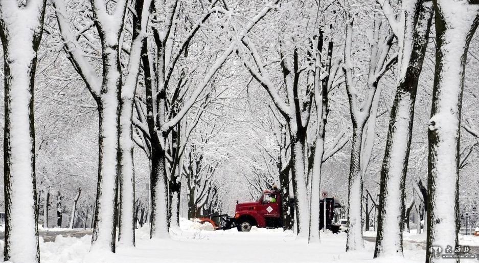 美国暴风雪过后的美丽景观