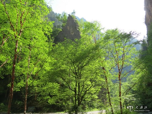 石门度假村四季景色各异