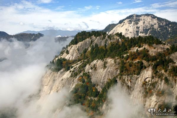 “植物世界”——木王国家森林公园