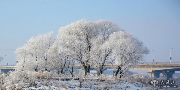 吉林雾凇景观 洁白无暇玉树琼花