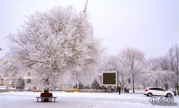 玉门出现雾凇美景