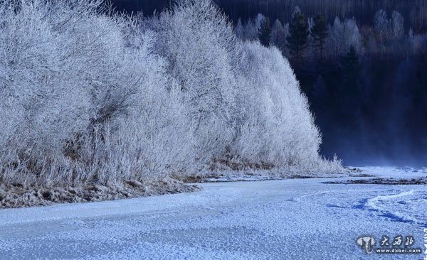 立冬，来极美漠河寻找冰雪之梦