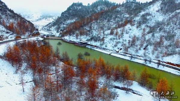 重庆红池坝立冬后初雪 雾雪朦朦美如画