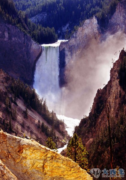 美国黄石国家公园的大峡谷和瀑布(8月10日摄)。