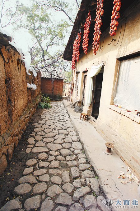 南豆角村一村民家老宅的地面是石块铺成的 