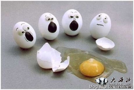 蛋蛋的忧伤