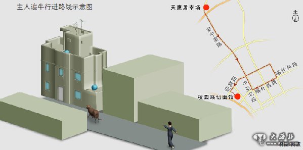 乌鲁木齐市安宁渠天鹰屠宰场待宰公牛夺路而逃狂奔八公里