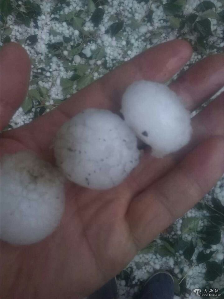 天祝永登惨遭冰雹袭击