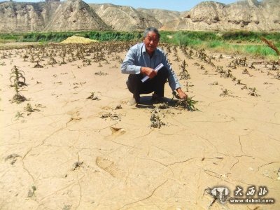 200多亩地的蔬菜都被泥石流冲毁了