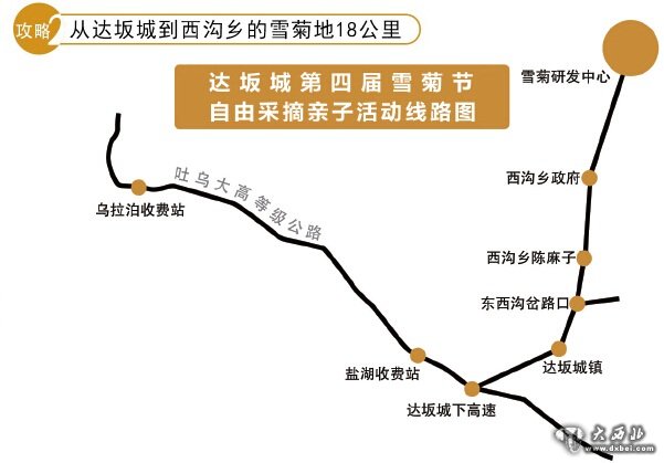 第四届雪菊文化旅游节8月22日开幕 达坂城200亩雪菊邀你免费摘