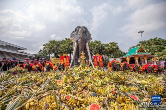 泰国大象日：大象享用
