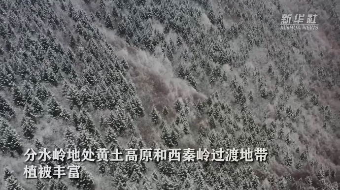 甘肃漳县：雪后分水岭